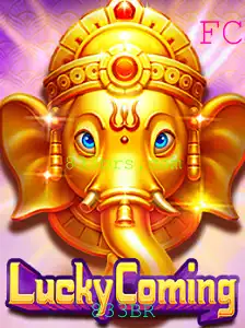 833BR Casino App