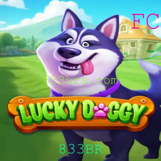 833BR Casino App